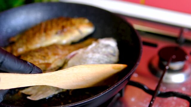 Traditional fried crucian carp recipe from cleaning and seasoning to pan frying and serving homemade fish meal step by step cooking process. full cycle of cooking fresh crucian carp