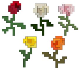 Fototapeta premium a set of 5 roses with different colors