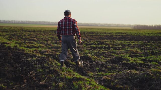 Villager walking in beautiful agricultural fields, farmer admiring farmland. Agribusiness and agronomy, growing plant for food in ecological region, modern agricultural technology, beautiful nature