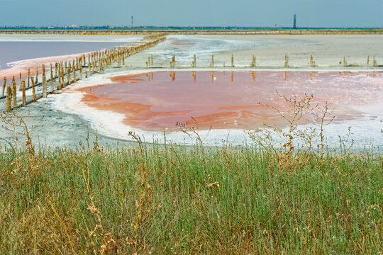 Industrial ecology and halophyte phytoremediation in Crimea, wide view of salt pan with Dunaliella salina brine and factory on background, educational asset for environmental textbook