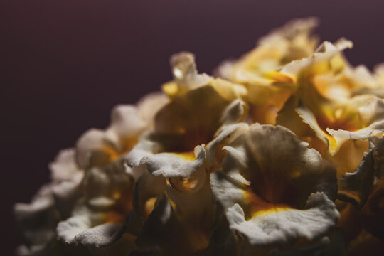 flor
