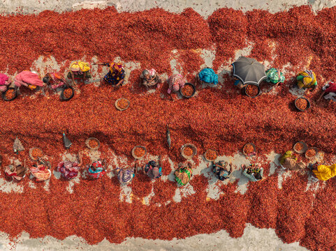 Aerial view of workers spreading red chilies to dry on the ground, with baskets and colorful clothing visible in Bogura, Rajshahi Division, Bangladesh.
