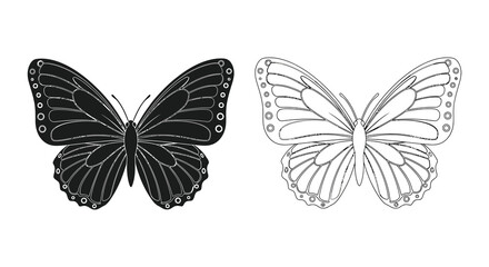 Butterfly Pair Black And White Line Art Silhouette © MdShifulIslam