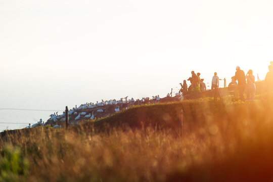 Crowds of Tourists Watching Seabird Northern Gannet Colony on Cliff Edge at Sunset, The Concept of Ecotourism, Birdwatching, Animal Protection