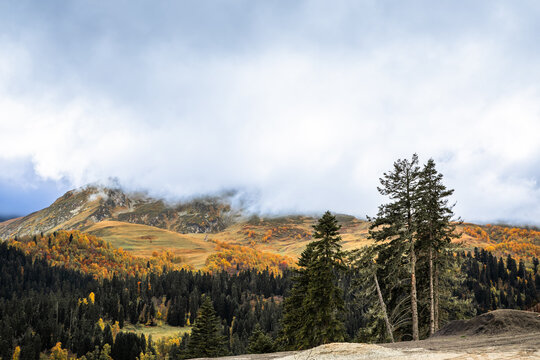 Horizontal autumn mountain landscape with cloudy peaks and conifer forest in Arkhyz Karachay Cherkessia Russia.