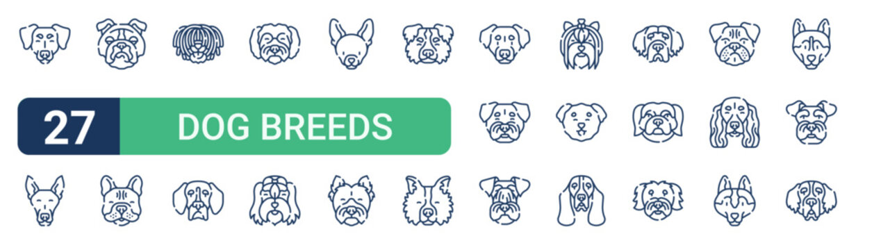 Set of 27 thin line Dog Breeds icons for app screens, websites and product dashboards. Outline vector pack featuring dachshund, greyhound, bulldog, french bulldog, puli and beagle.
