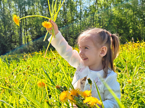 Little girl enjoying a sunny day in a field of dandelions, smiling and picking flowers