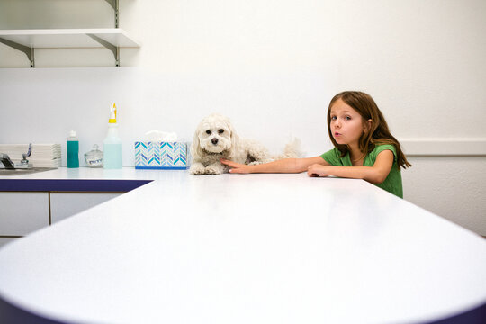 Girl reaching hand out to dog on table