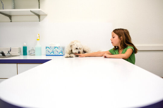 Little girl comforting dog on table