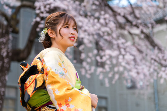 満開の桜と振袖,着物姿の二十歳の女性