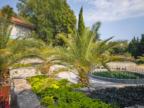 Botanical Garden in town of Balchik, Bulgaria