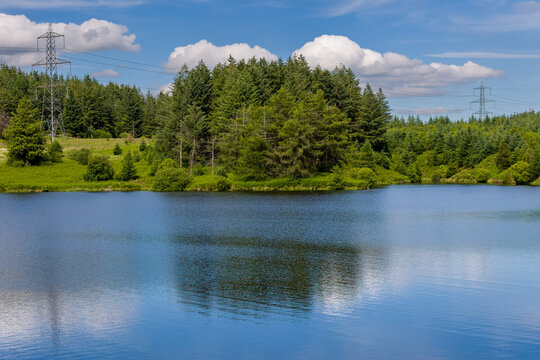 Scenic view of a tranquil lake reflecting blue sky and green forest