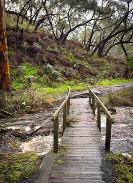 Waterfall Creek on the way to Ingalalla Falls waterfall in Hay Flat on the Fleurieu Peninsula, South Australia