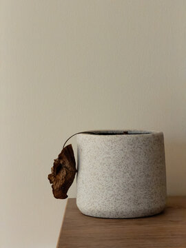 An indoor pot plant that has wilted and dried up hanging down over the ceramic pot that is on a wooden bench with copy space