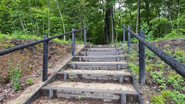 Wooden steps lead into lush green forest. Foliage frames a quiet, winding dirt trail. Natural light filters through tall trees. No people, no animals, no signs visible. Ideal for nature trails, hiking