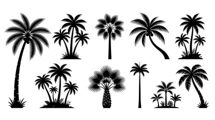 Fototapeta premium Collection of diverse black palm tree silhouettes against a white background