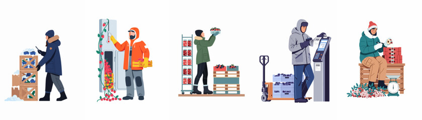Illustrations of workers in the berry processing and cold chain logistics industry, managing storage, temperature control, scanning, and labeling of fresh fruit. © Santoso