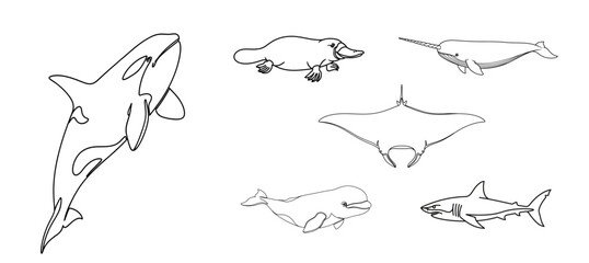 Marine Life Silhouette Icon Set © anjel