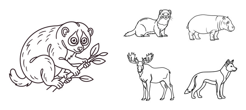 Slow Loris and Wild Animal Icon Set