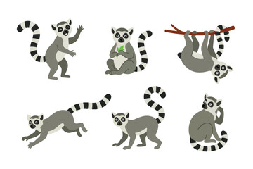 Cute Ring Tailed Lemur Character Clipart Set, Flat Vector Baby Lemur Mascot Collection for Kids Nursery Sticker and Patterns © bytaristudio