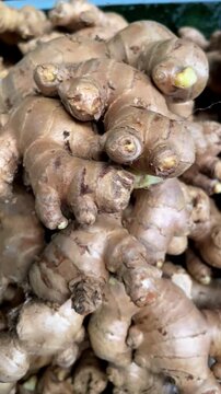 Full frame close up texture of fresh raw organic ginger roots heap at market