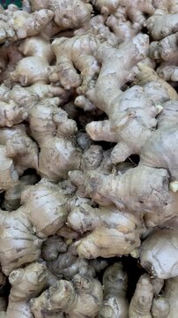 Full frame close up texture of fresh raw organic ginger roots heap at market