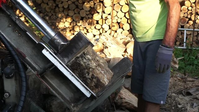 A worker positions a heavy wooden log into a hydraulic splitter machine with a large pile of chopped firewood neatly stacked in the background.