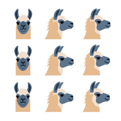 Fototapeta premium Grid of Small Minimalist Lama Profile Icons