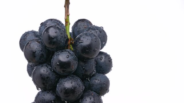 吊るしたナガノパープル(大粒ブドウ)を白背景でゆっくり回した4K動画