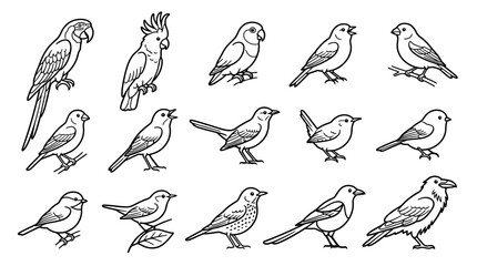 Obraz premium Set of various hand drawn birds and parrots sketch.