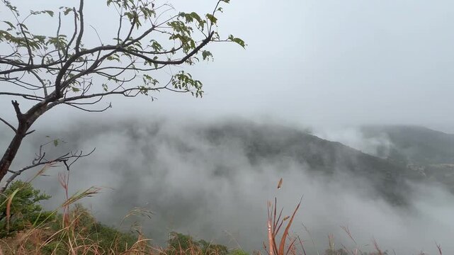 Title: Cloud inversion in one of the valleys of Western Ghats of India.