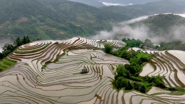Hmong farmers prepare their fields and plant rice on terraced fields in Hoang Su Phi. Photo taken in Tuyen Quang on June 20, 2026 