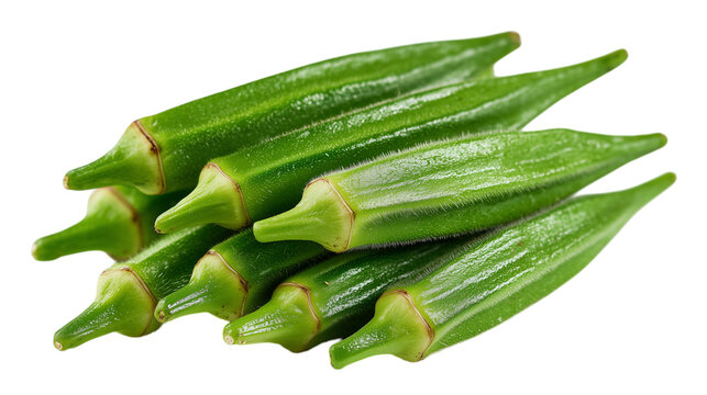 新鮮なオクラの束 栄養豊富な夏野菜の切り抜き素材