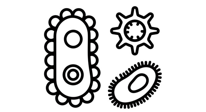 Illustration of Different Bacteria Shapes: Rod, Cocci, and Spirilla in a Diagram.