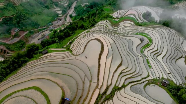 Hmong farmers prepare their fields and plant rice on terraced fields in Mu Cang Chai, Yen Bai. Photo taken in Tuyen Quang on June 20, 2026 