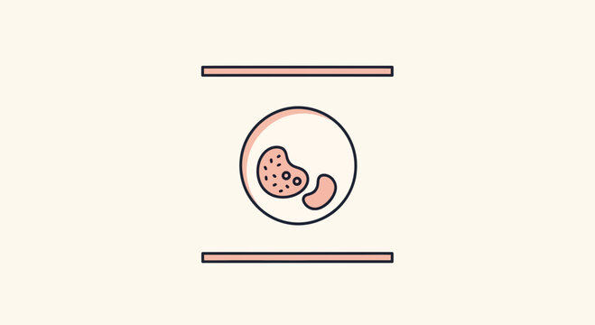 Embryo Development Stages: Early Cell Division and Blastocyst Formation