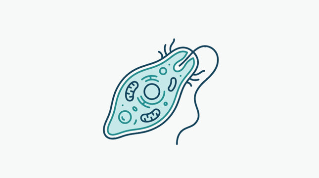 Microscopic Euglena Protozoa Cell Illustration.