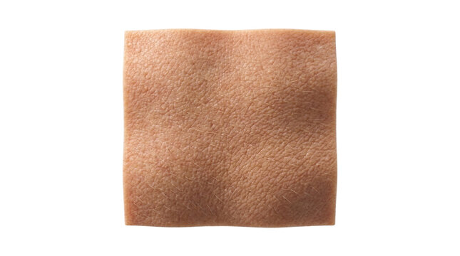 Close up of a piece of raw pork skin texture.