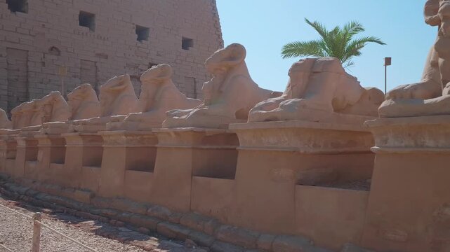 Footage showcasing the majestic Avenue of Ram Headed Sphinxes at the Karnak Temple Complex in Luxor, Egypt. This iconic ancient Egyptian landmark features rows of well preserved sphinx statues leading