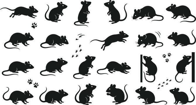  Black Mouse and Rat Silhouette Vector Collection with Paw Prints and Rodent Poses