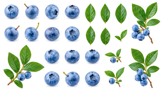 Seamless graphic asset pattern of fresh blue berries and green leaves on white background