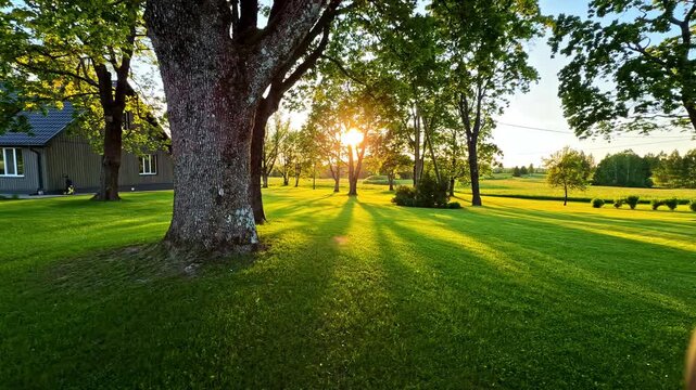 Sunlight filters through mature trees, casting long shadows on a large grassy lawn