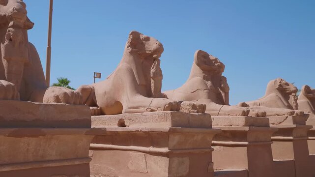 A captivating view of the ancient ram headed sphinxes lining the sacred avenue leading to the majestic Karnak Temple Complex in Luxor, Egypt.
