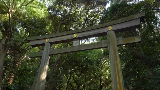 Otorii (Second Torii Gate) At Meiji Jingu in Tokyo, Japan. - low angle shot