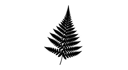 Black Silhouette of a Fern Leaf. © Abori
