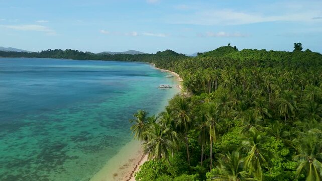 Forward aerial along Capsalay Long Beach in Port Barton Palawan revealing vast white sandy shore lined with dense coconut palms and turquoise water