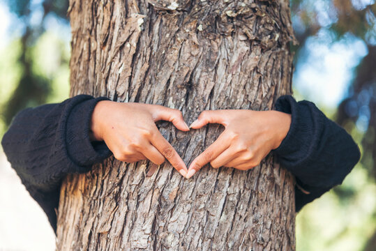 Woman Hands hug tree love nature finger heart shape. Save world zero waste energy protect Eco green sustainable hands holding together.  ESG environment sustainable governance ecology on earth day