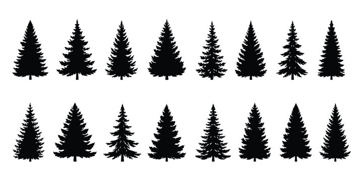 Forest trees set. Isolated vector silhouette. Coniferous forest. Christmas tree, fir-tree, pine, pine-tree, Scotch fir, cedar. A minimalist vector graphic illustration of a mountain landscape with pin