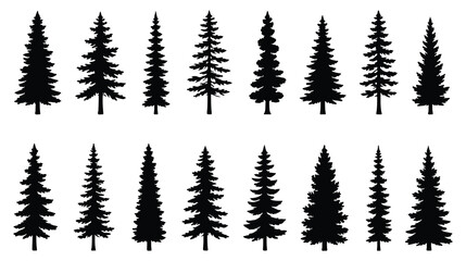 Silhouette of three evergreen pine trees standing tall in a forest. Christmas tree icon set. Vector illustration of pine silhouette. pine tree set. EPS 10.  © HIKESTUDIO 7