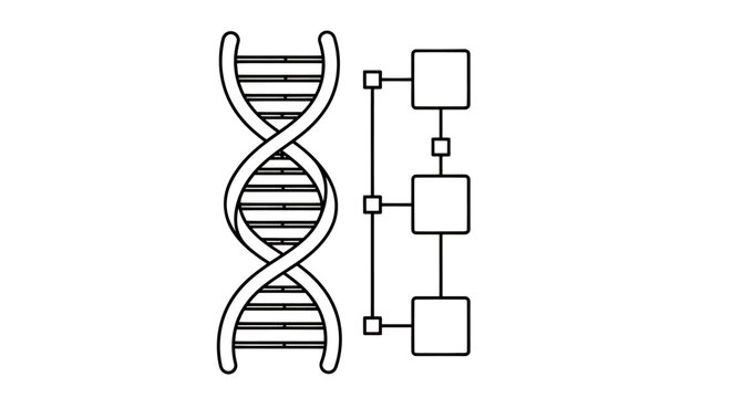 Complex DNA double helix alongside schematic diagram illustrating genetic sequencing.